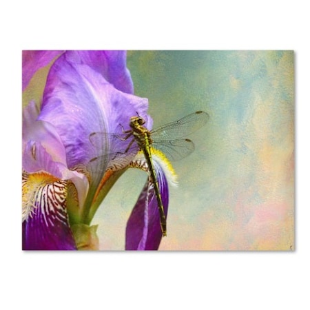 Jai Johnson 'Say Hello To Spring' Canvas Art,14x19